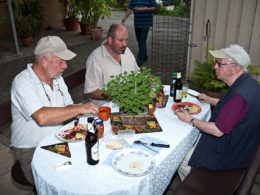  Kakteenhock bei Meier 2011